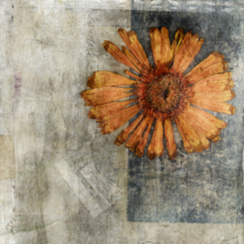 Bookmark this page. Patchwork quilt in light greens and browns. honest psychic services Psychic Sophie